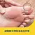 Dr. Scholl's 爽健水凝膠舒緩襯墊 雞眼適用 6入裝-2