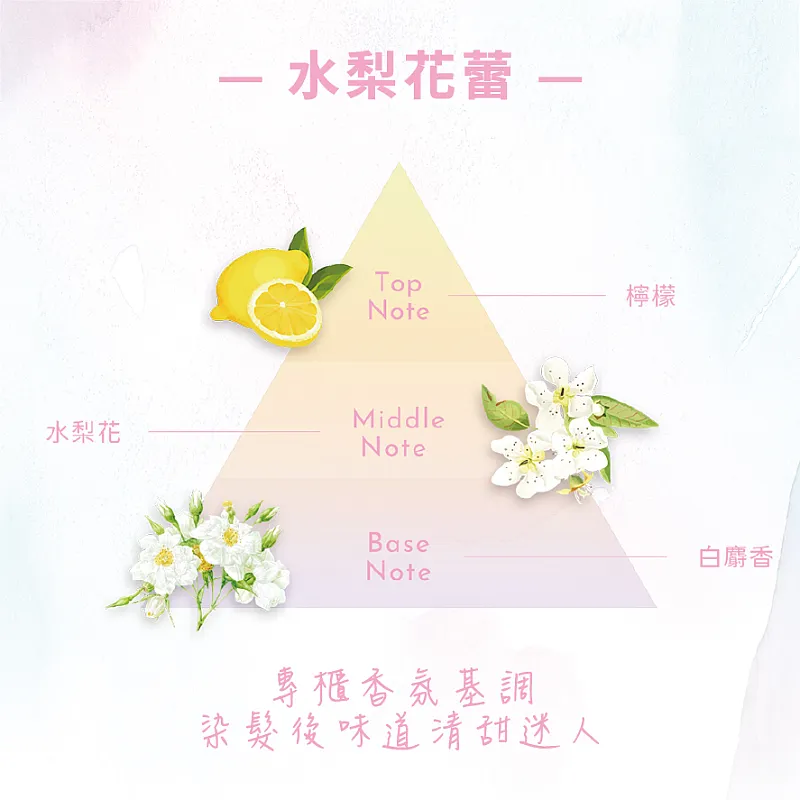 萊施哲 沙龍級香水護髮染髮劑-11